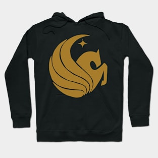 UCF Hoodie